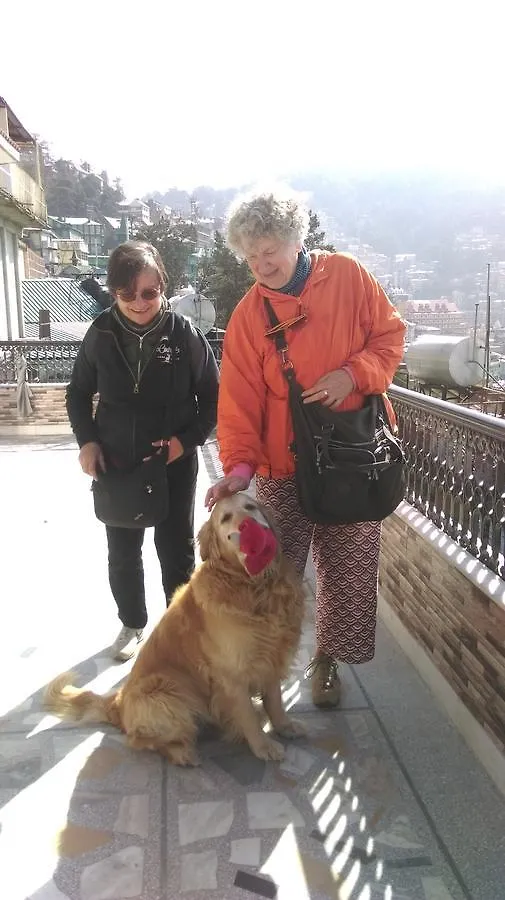 Bed & Breakfast The Thistle Lodge Shimla